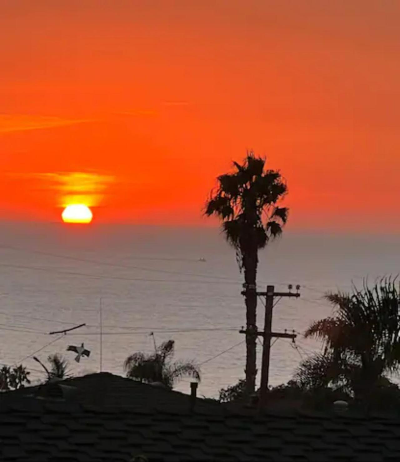 Contemporary Ocean Sunset Views With Firepit Pt Loma Close To Plnu San Diego Exterior foto